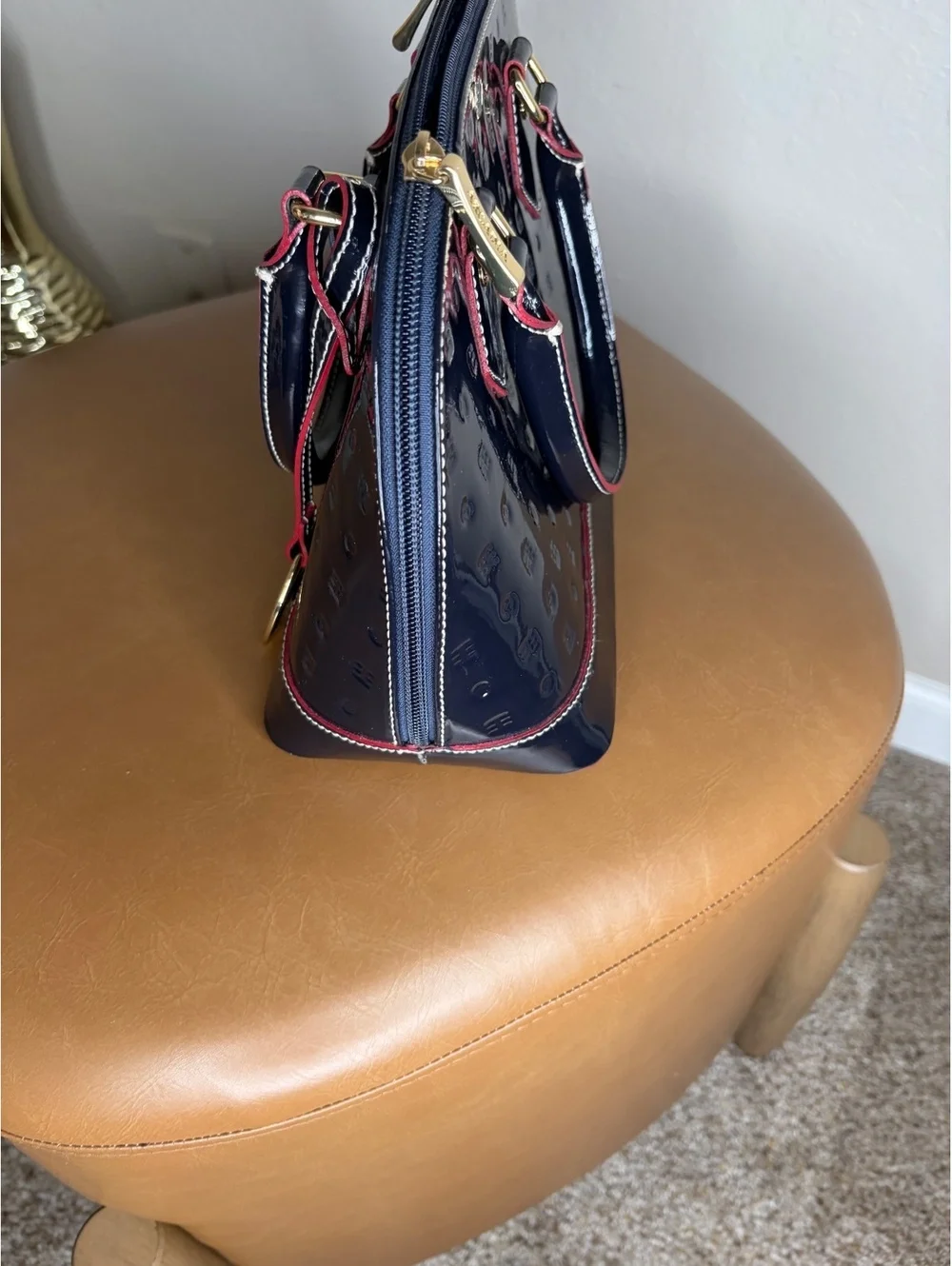 Arcadia satchel bag